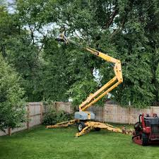 Best Hazardous Tree Removal  in Pembroke, GA