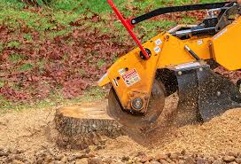 Best Stump Grinding and Removal  in Pembroke, GA